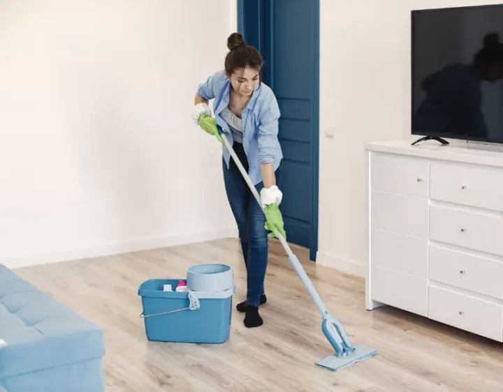 Femme de ménage Grenay